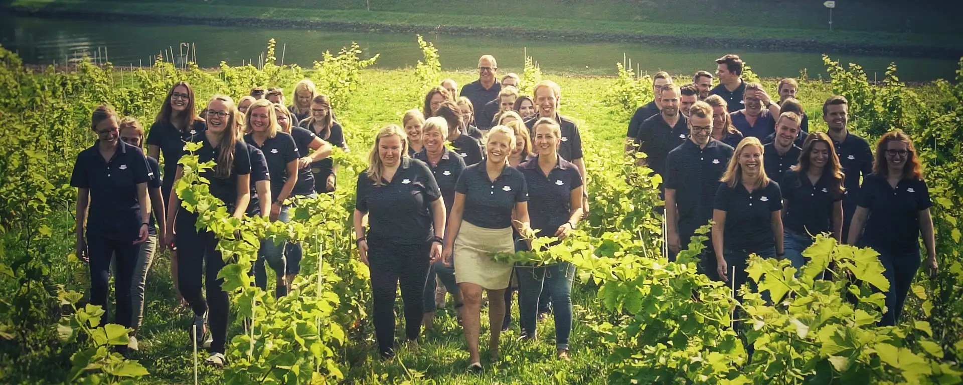 Das LBB Team in einem Weinberg