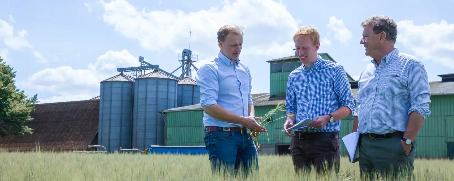 Drei Männer stehen auf einem Getreidefeld